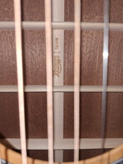 Kytara TASMAN TA100 - 3
