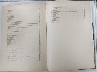 Jezdectví a dostihový sport - 3