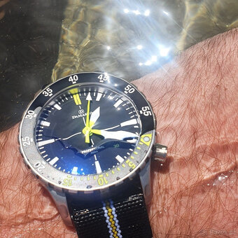 Damasko D Sub 1 - Diver - 3