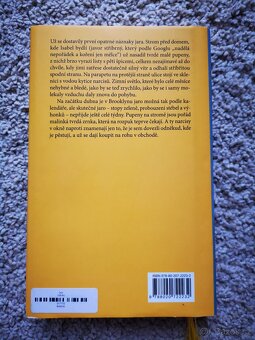 Den Michael Cunningham, Znamení jednorožce Hana Körnerová - 3