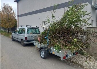 Citroen Berlingo 1.4, benzín, klima, TK do 4/27 - 3