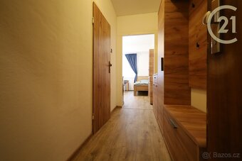 Pronájem bytu 1kk 24 m², Antonínská, Brno – střed. Sklep. - 3