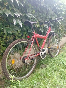 Alfa Bike - 3