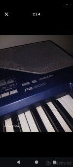 Korg Pa800 - 3