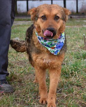 EILYN K ADOPCI - 1 ROK, KLIDNÁ, ODDANÁ, MILÁ - 3