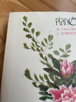 Starší knihy -Zelený domov, Pracujeme se dřevem - 3