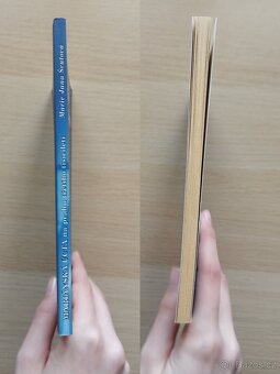 Mariánská úcta na prahu třetího tisíciletí - 3