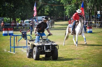 Roping dummy / figurina byka - 3