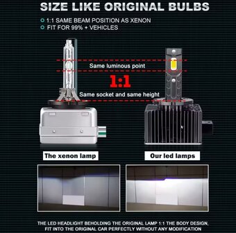 LED D1S 4300 K - 3