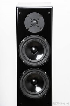 VIENNA ACOUSTICS APIS / výborný zvuk / profi servis - 3