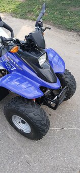 Prodám čtyřkolku Dinli T-Rex - 3