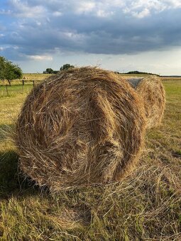 Seno - kulaté balíky - 3