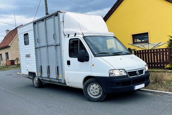 Pronájem autopřepravníku pro dva koně s kamerou na řp. sk. B - 3