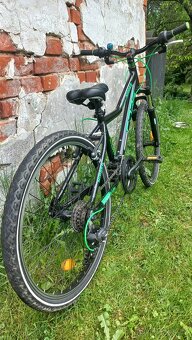 Core Nipper 24" - 3