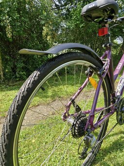 Kolo Kellys Clea 70 - 3