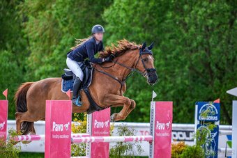 Valach do sportu - 3