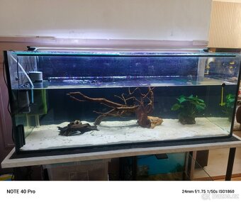 Akvárium 240 l - 3