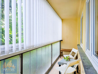 Pronájem prostorného bytu 1+kk (40,2 m2) s lodžií a sklepem, - 3