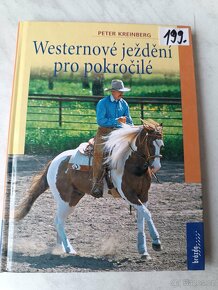 Koně ježdění westernové ježdění péče - 3