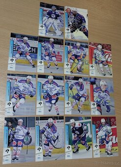 Hokejové kartičky EBEL 13/14 - 3