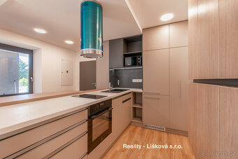 Pronájem luxusně zrekonstruovaného Atelieru 1kk ve vile Anna - 3