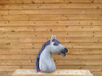 LARDEN - Hobby Horse - 3