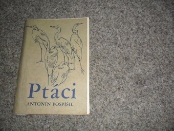 Ptáci Antonín Pospíšil, rostliny, stromy, houby, různé - 3