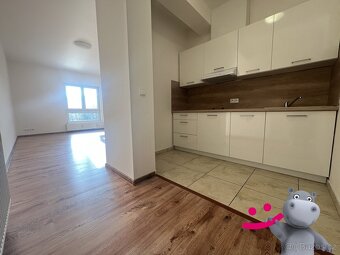 Pronájem bytu 1+kk 33 m², Otvovice, ev.č. 58695 - 3