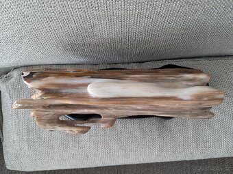 zkamenělé dřevo - 3