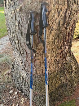 Hůlky na lyže vel 115 - 3