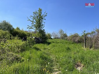 Prodej pozemku k bydlení, 3311 m², Benátky nad Jizerou - 3