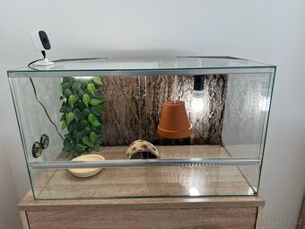 Terarium - 3