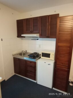Majitel pronajme 1kk 25m2 Praha 10 Michle - 3