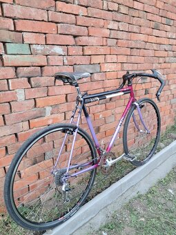 Winora Terra XC - 3