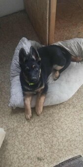 3 měsíční stene - 3