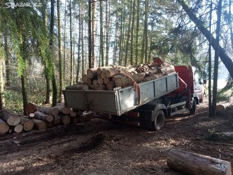 Palivové dřevo Praha - 3