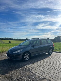 Peugeot 307 1.6 D 66 kw combi - 3