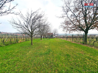 Prodej ovocného sadu, 4096 m², Starý Poddvorov - 3