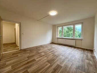 Pronájem bytu 1+1 39m2 na ulici tř. 17. listopadu v Karviné - 3