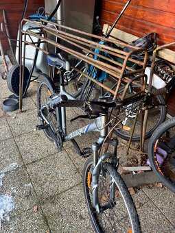 Kolo Giant Rincon - 3