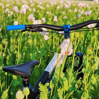 Canynon Spectral 27,5 - 3