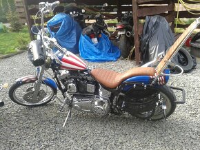 Harley Davidson Softail Easy RIder - 3