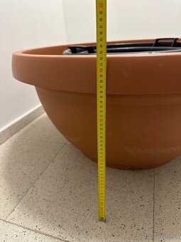 Plastové květináče na olivovníky - 3