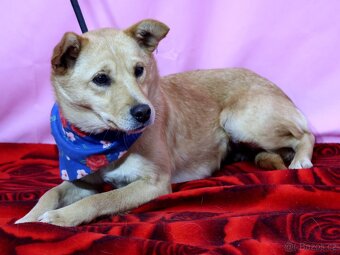 Odysea hledá domov - 3