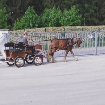 téměř nová wagoneta - 3