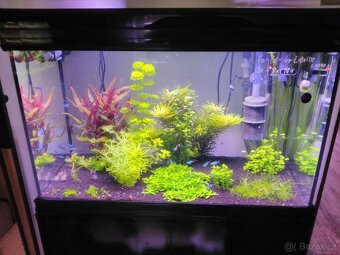 Akvária Aqualantis Fusion 60 a 80 - 3