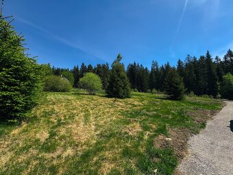 Pozemek u Lipna nad Vltavou, 679m2 - 3