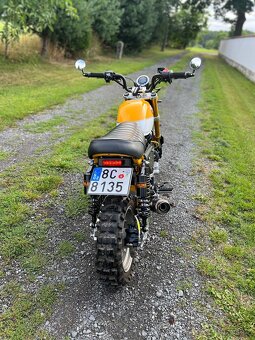 Honda monkey 125(164ccm) scrambler - 3