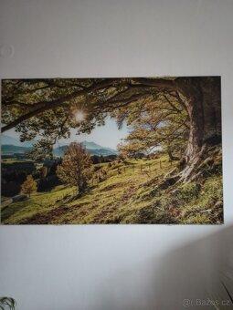Fotoobraz ve skle 120x80 cm - 3