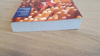 Filipíny - Lonely Planet - česky - průvodce - 3